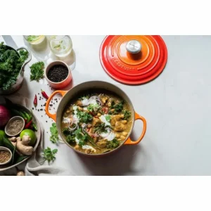 Cocotte En Fonte Ronde 22 Cm Volcanique Le Creuset Signature qualité d’originales 18